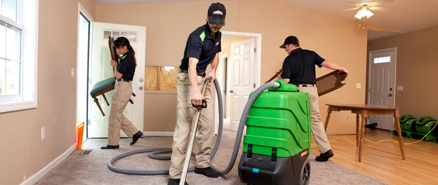 Chicago, IL cleaning services